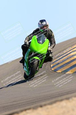 media/Feb-12-2022-SoCal Trackdays (Sat) [[3b21b94a56]]/Turn 12 (140pm)/